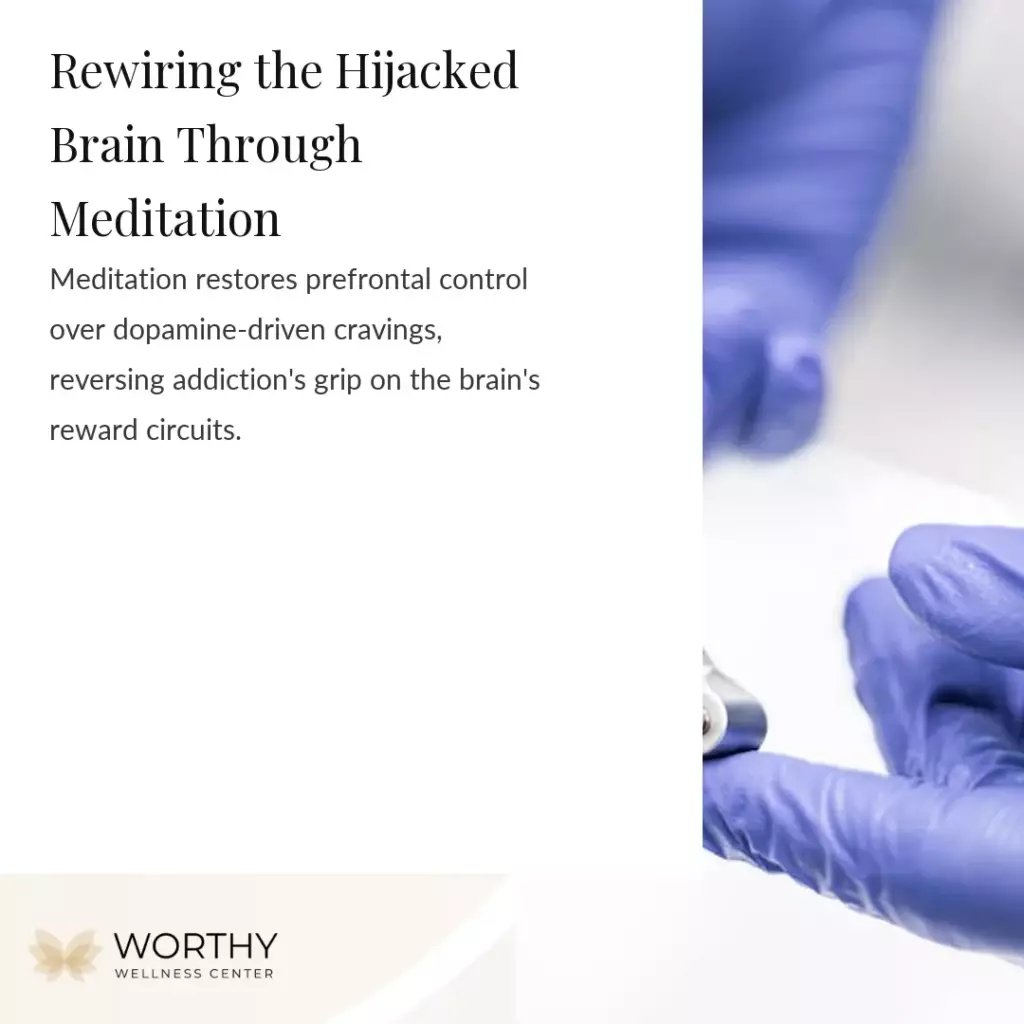 how meditation affects the addicted brain the neuroscience