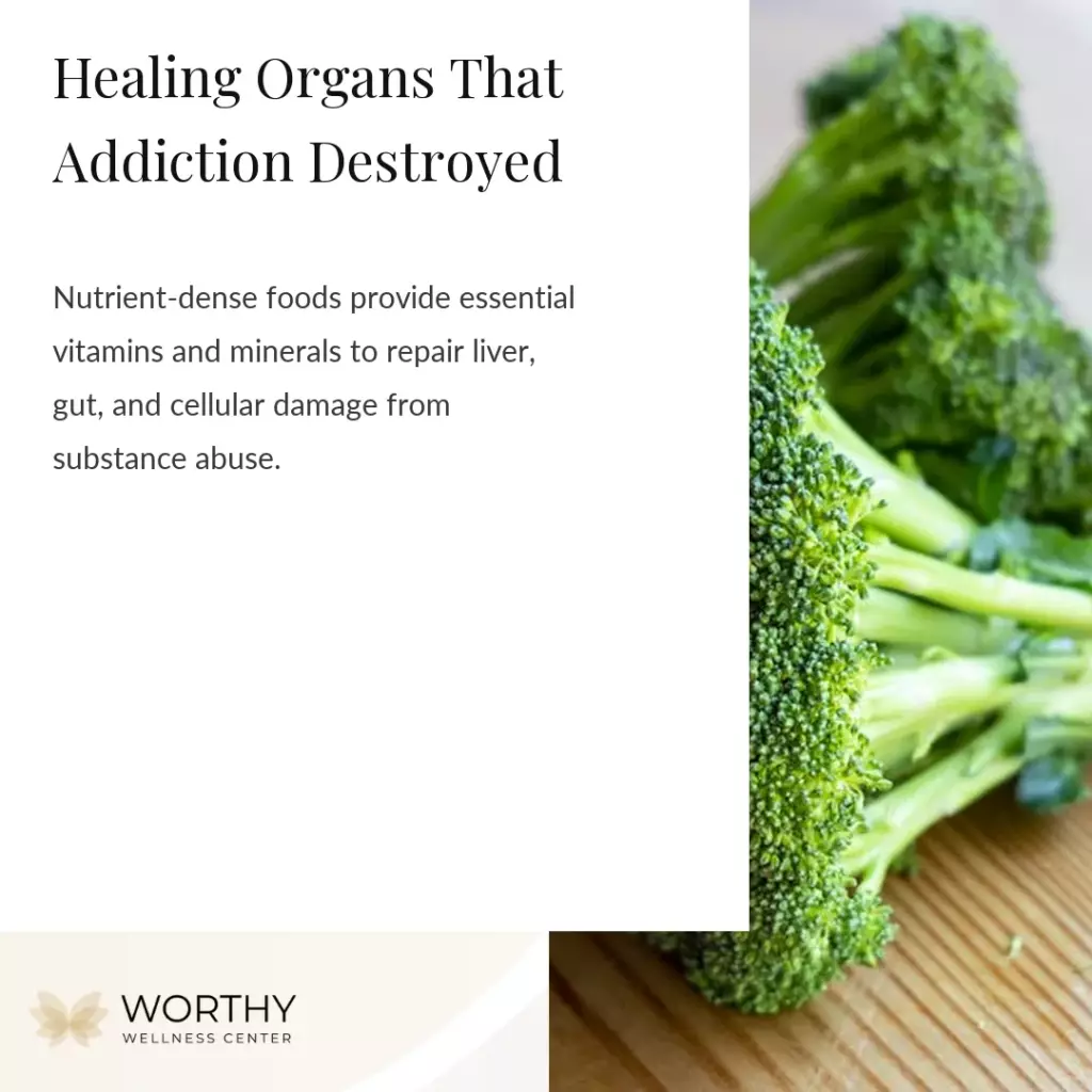 7 Importance of Nutrition for Addiction Recovery 1 repairs physical organ and tissue damage