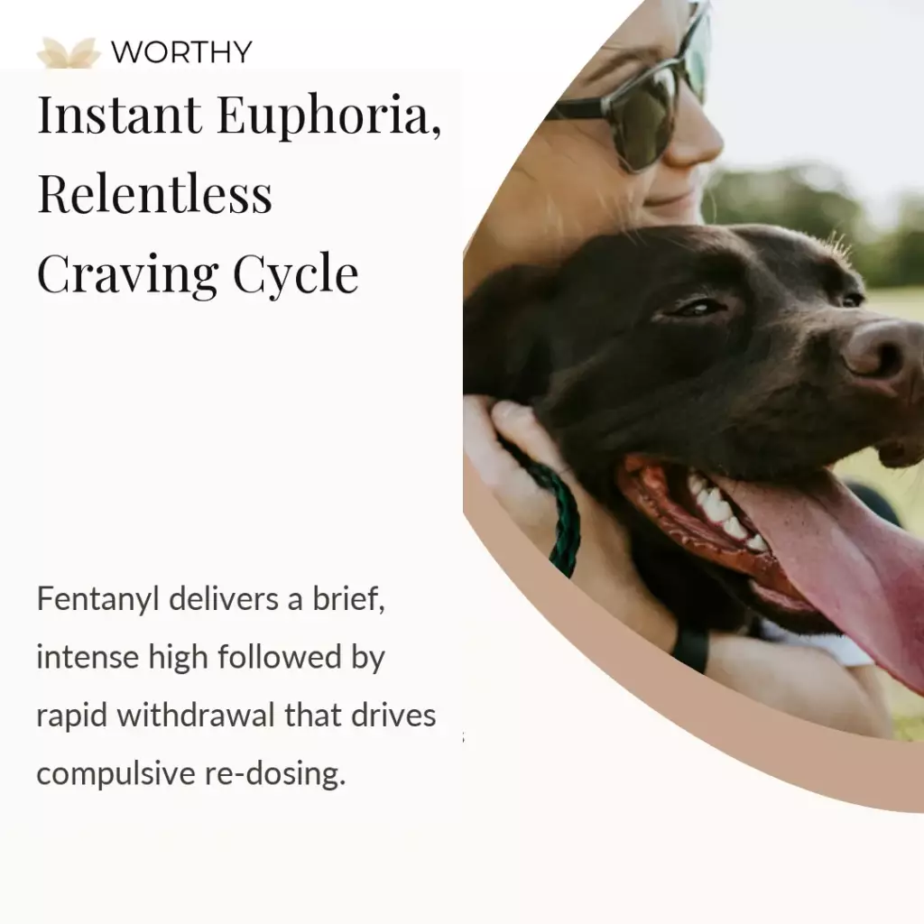 Fentanyl Addiction: Symptoms, Causes, Effects, Withdrawal, Treatment and Prevention 2 how does fentanyl affect the body and mind