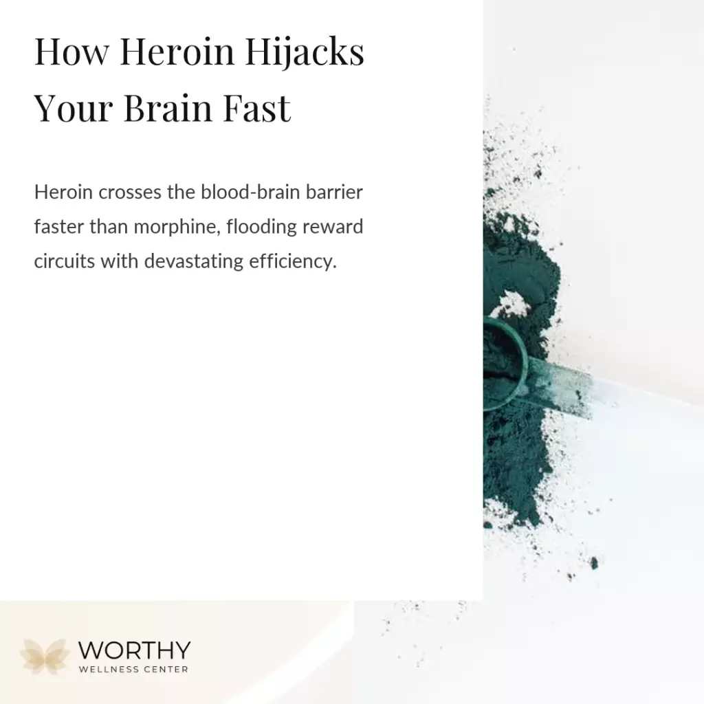 Heroin: Definitions, Effects, Overdose, Addiction & Treatment 1 what is heroin