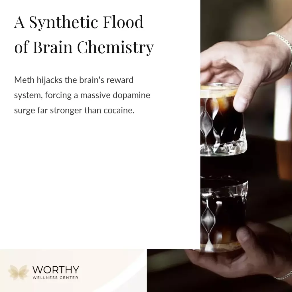 Methamphetamine: Definitions, Effects, Overdose, Addiction & Treatment 1 what is methamphetamine and how does it work