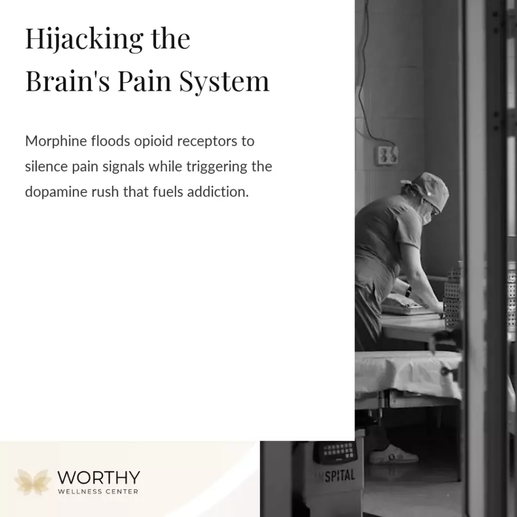 what is morphine and how does it work