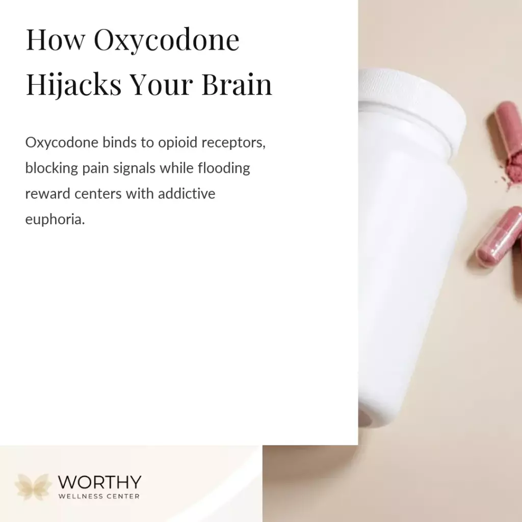 Oxycodone: Definitions, Effects, Overdose, Addiction & Treatment 1 what is oxycodone